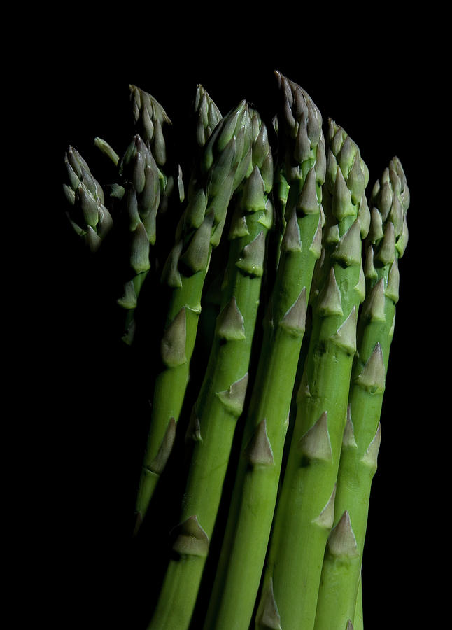 Asparagus On Black Background By Pm Image