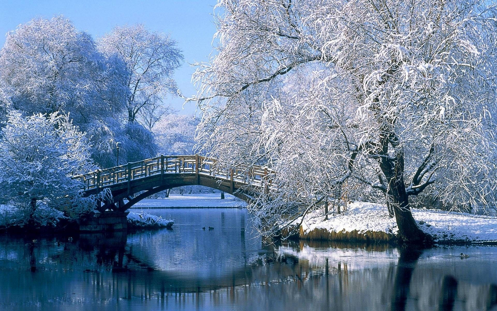 Snow Desktop Wallpaper