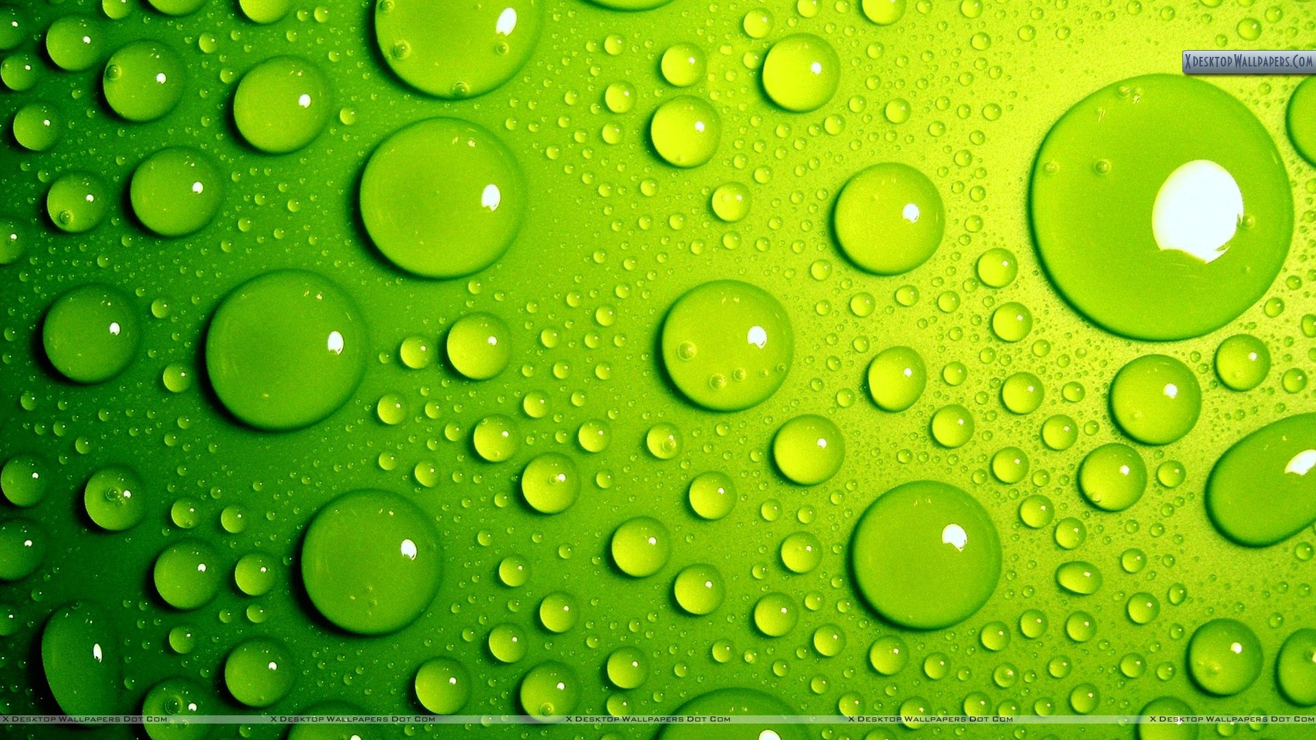 Green Bubbles Awesome Background Wallpaper