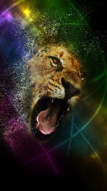 Wallpapers iPhone Wallpapers HD Wallpapers 360x640 Screen Lion