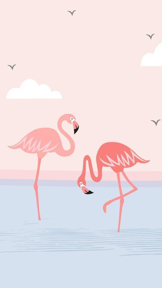 Wallpaper Mobile Flamingos Flamingo Art