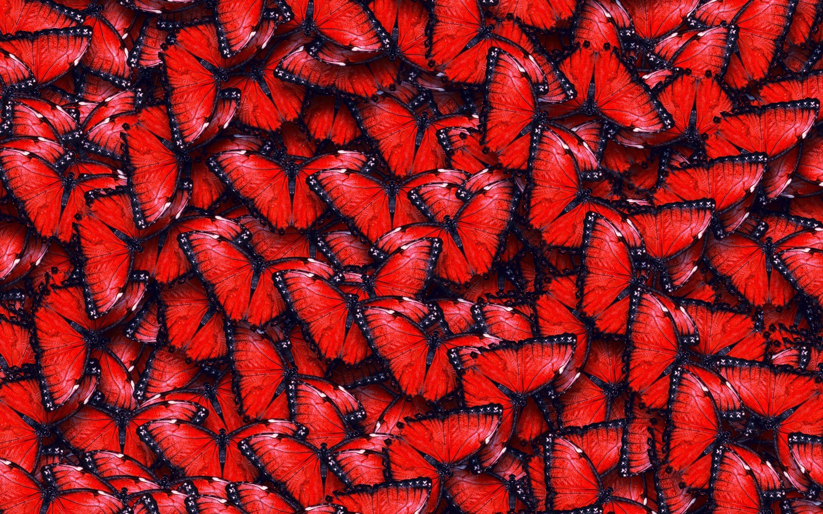 Red Butterflies Texture Natural Spring Backgound HD