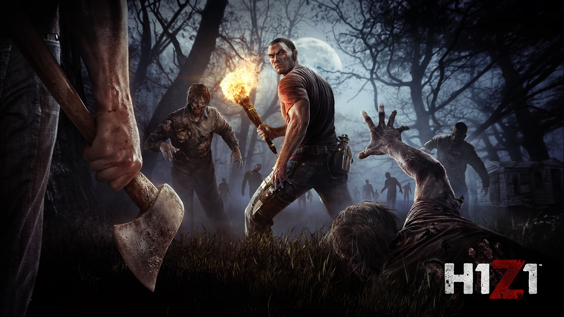 H1z1 HD Wallpaper Background Image Id