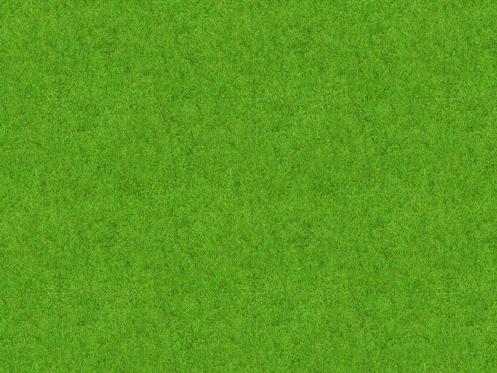 Pin Wallpaper Lawn Green Texture Grass Textures On