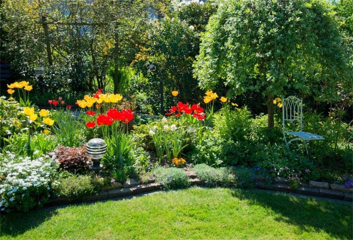 Amazon Csfoto Background Backyard Garden With Blossom