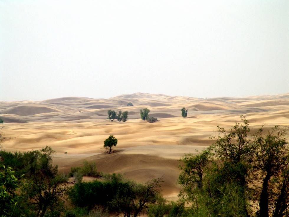 Thar Desert Rajasthan HD Pics Photos Wallpaper