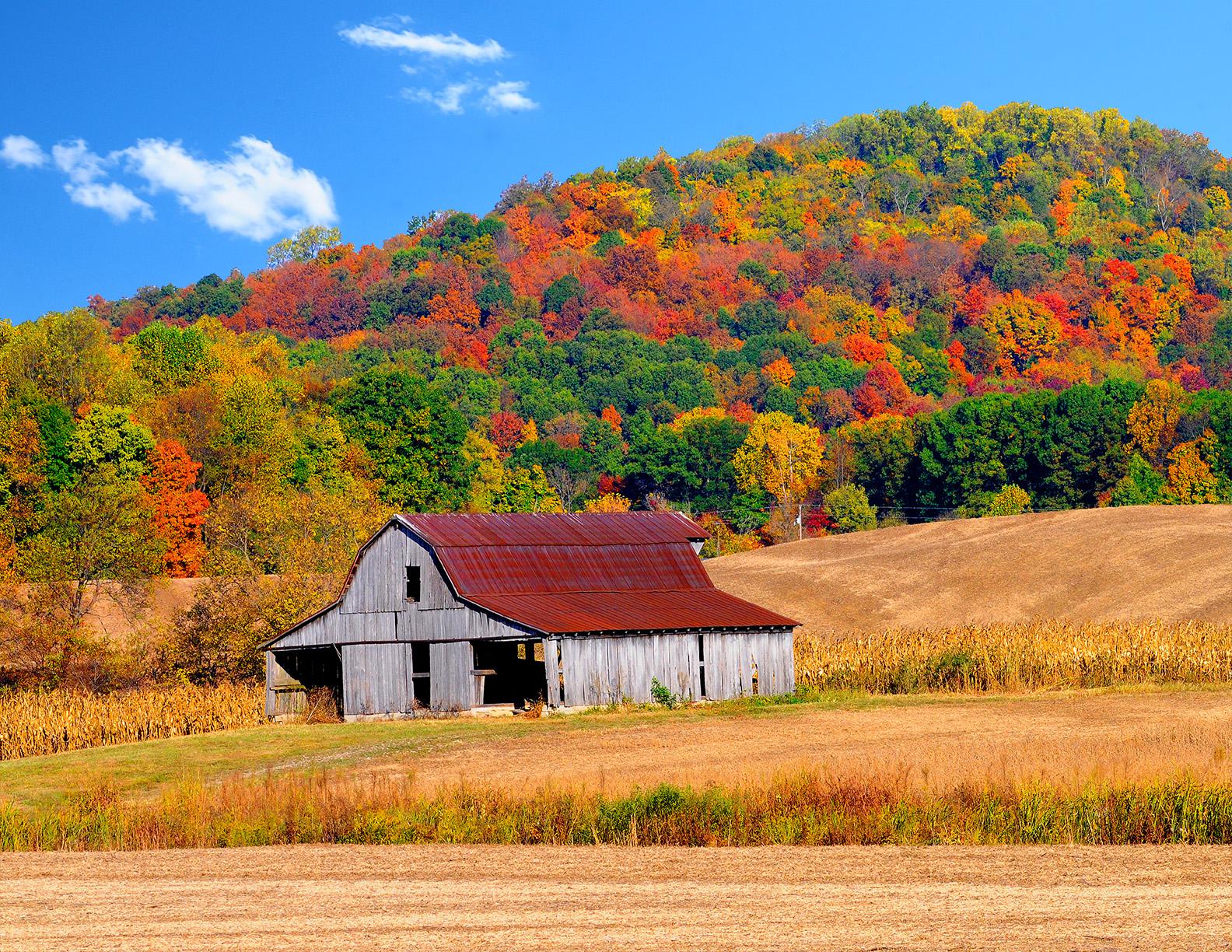 Autumn Barn High Quality And Resolution Wallpaper On