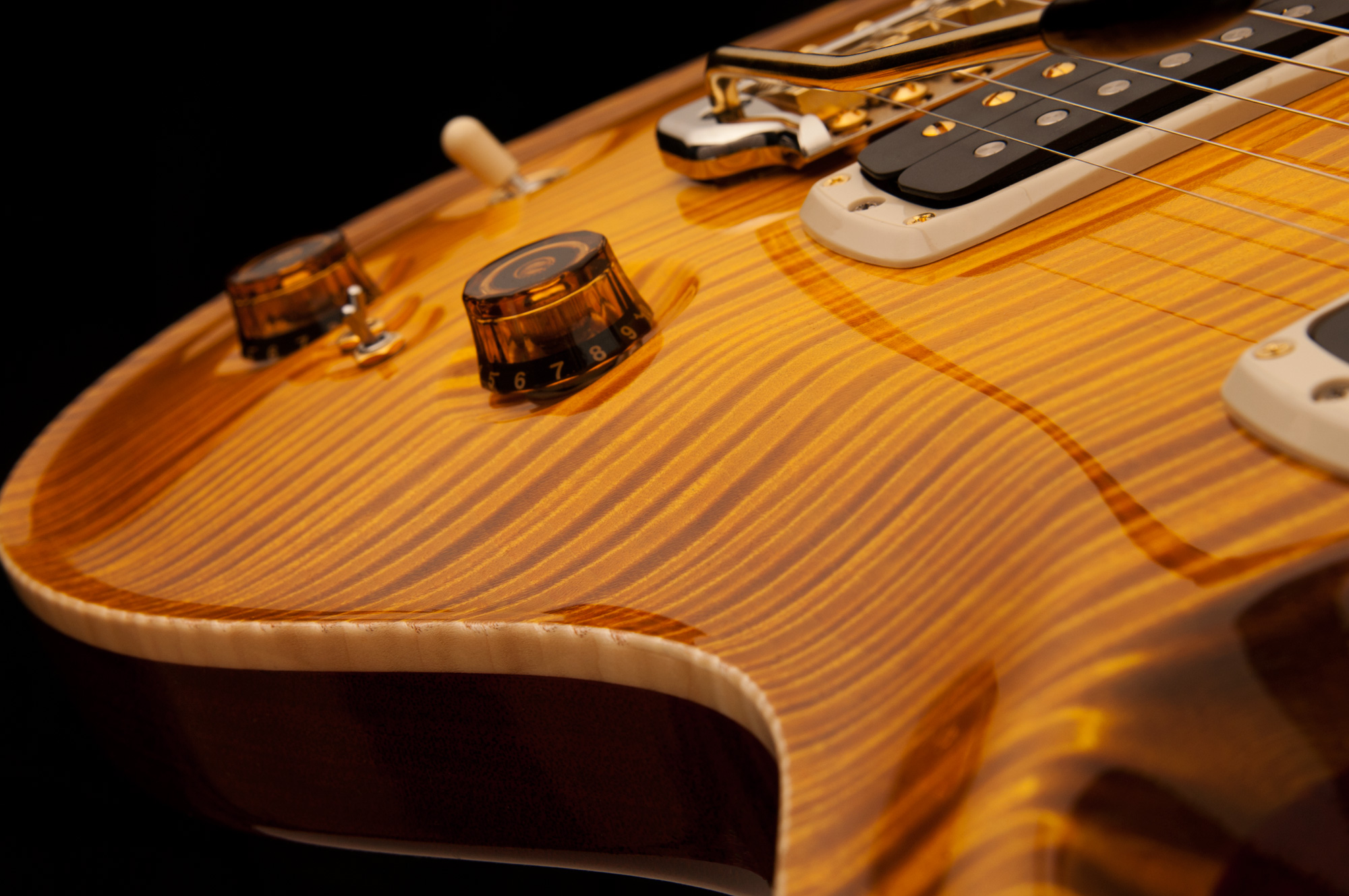 Prsguitars Forum lection4 Jpg