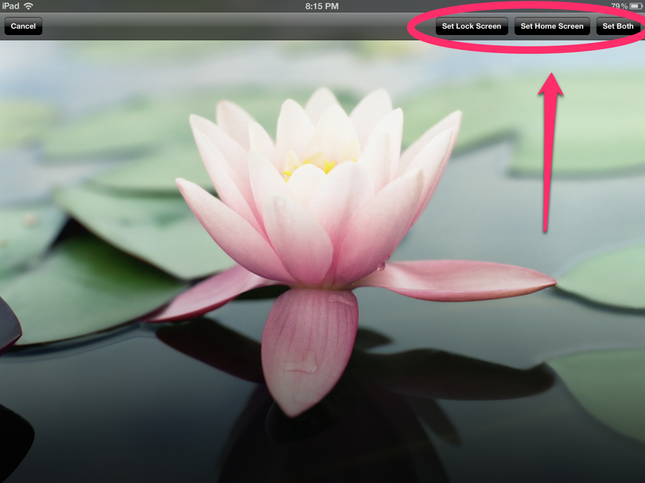How To Change Your Wallpaper On iPhone Or iPad Part Of The