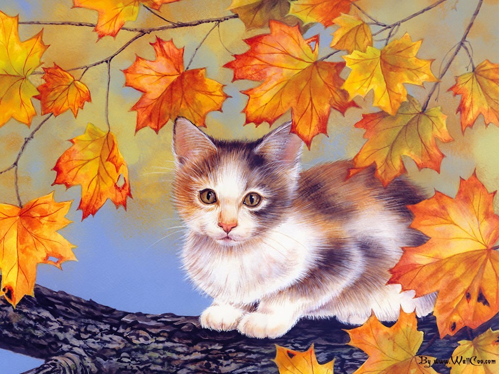 Autumn Animal Wallpaper Hq Background HD Gallery
