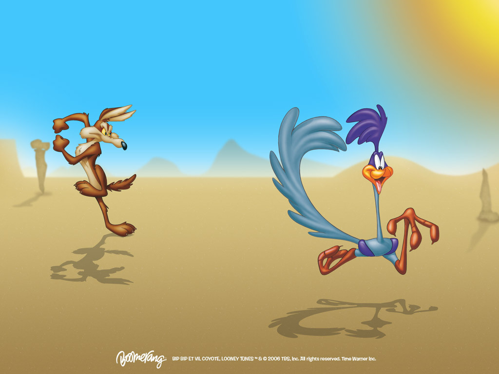 Road Runner Wile E Coyote Looney Tunes Wallpaper