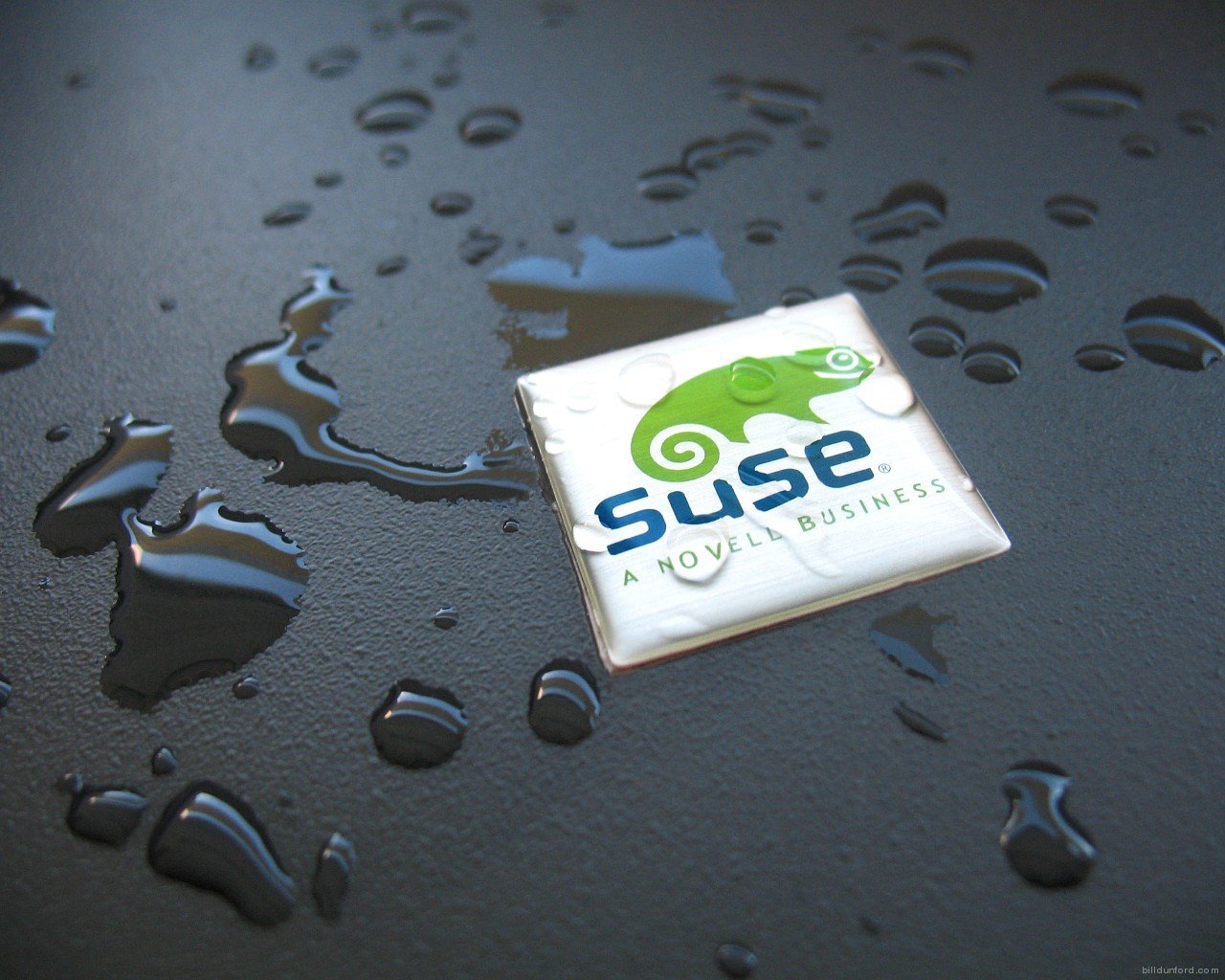 Suse Linux Logo Wallpaper Geekpedia
