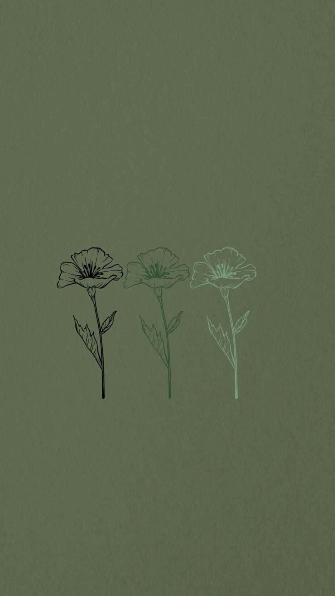 Sage Green Flower Aesthetic Wallpaper