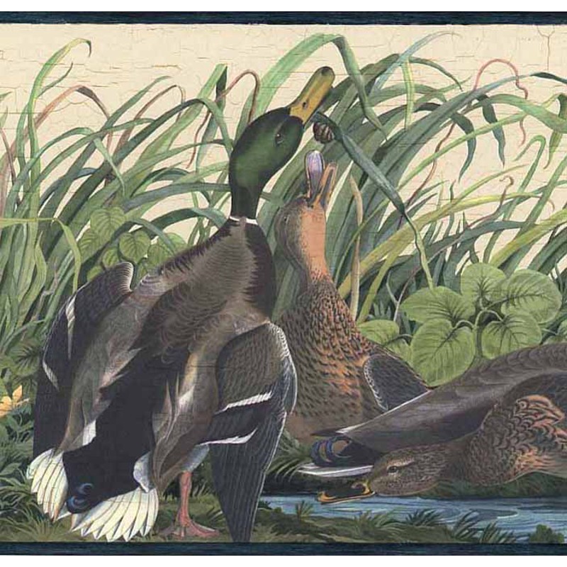 Ducks Wildlife Duck Pond Cattails Mallard Cabin Lake Lodge Wallpaper Wall Border 