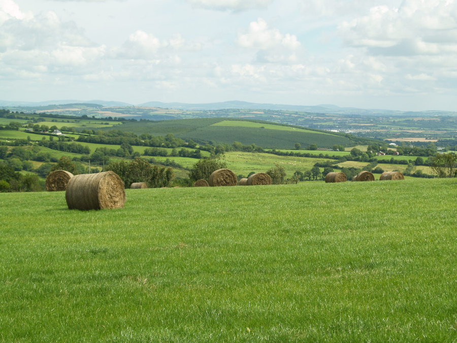 Irish Countryside By Shadyadey