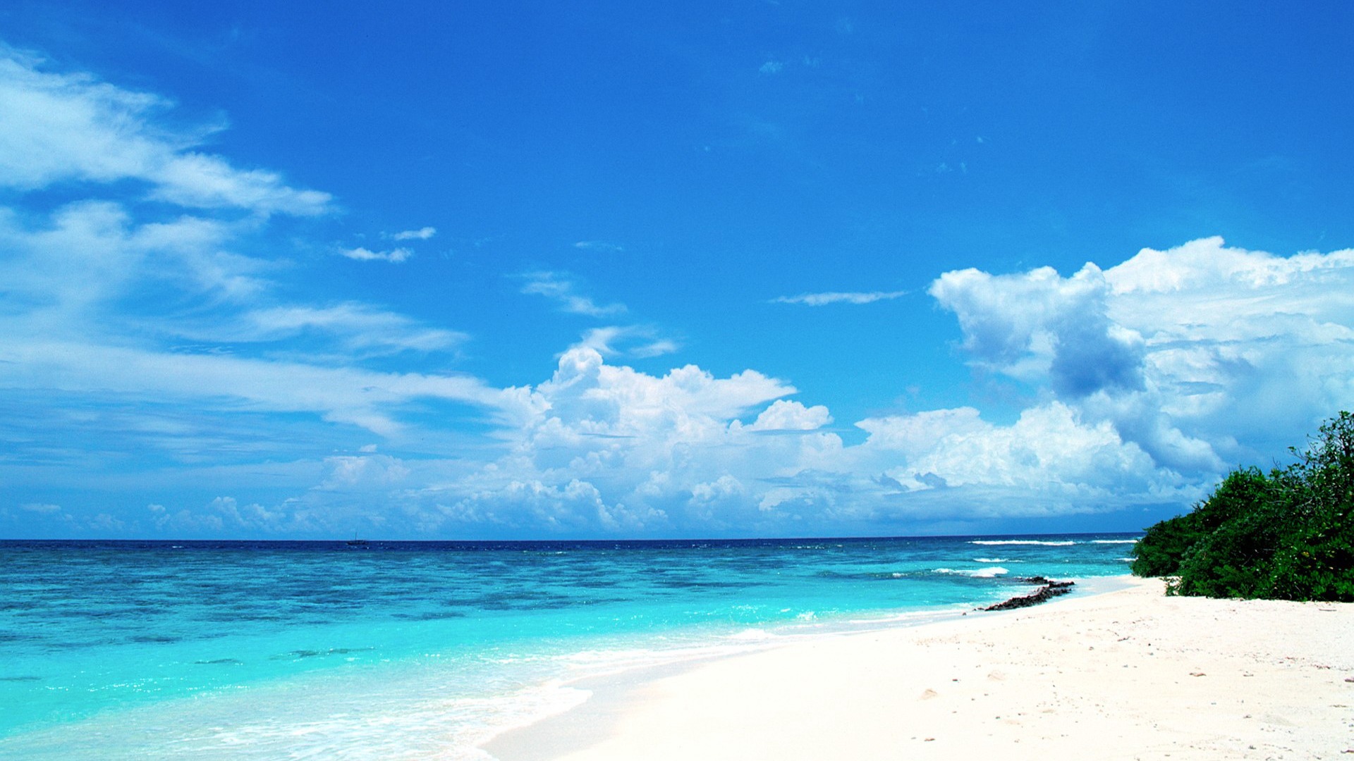 Maldives Beach Summer Wallpaper