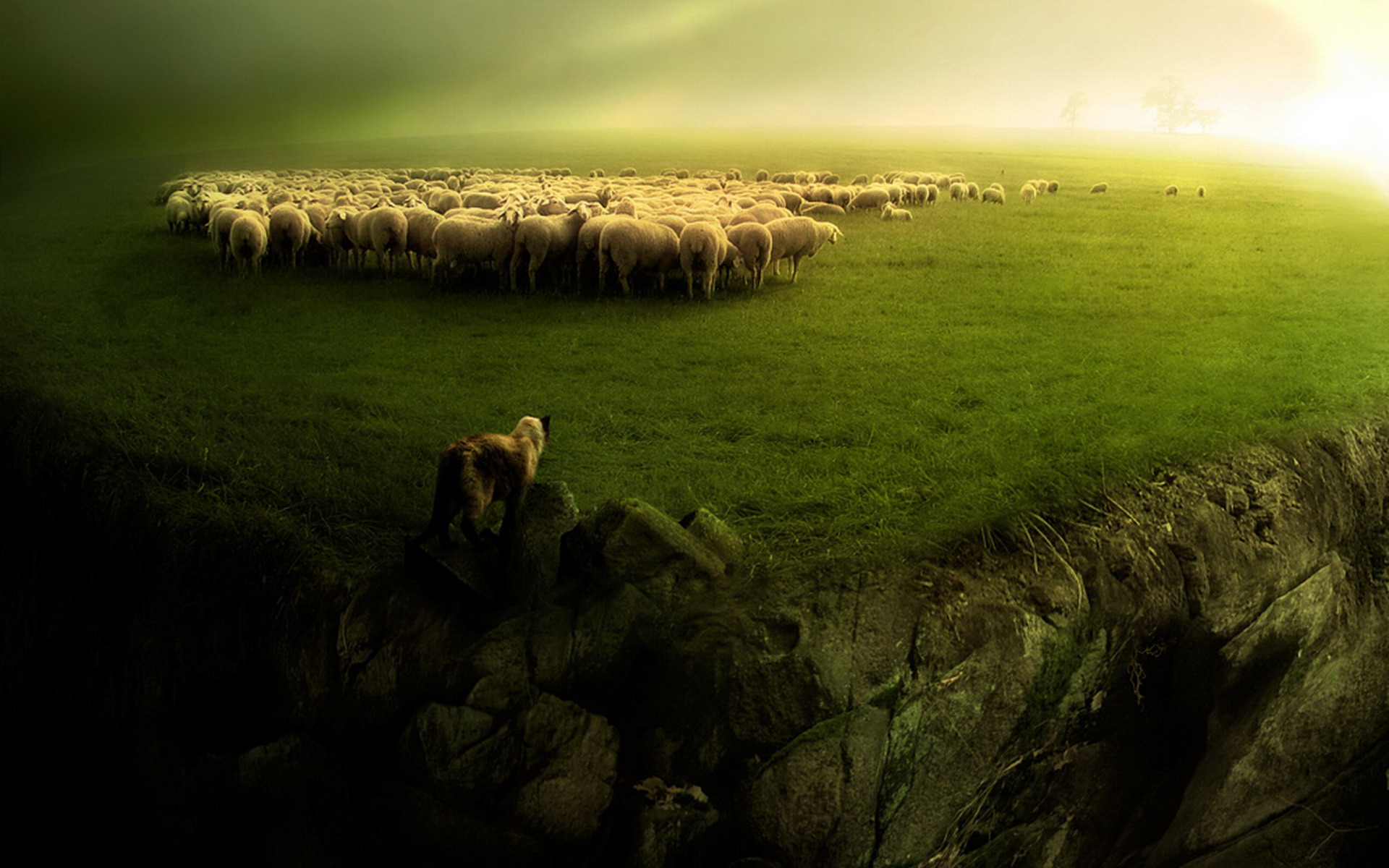 Sheep And Wolf Desktop Pc Mac Wallpaper