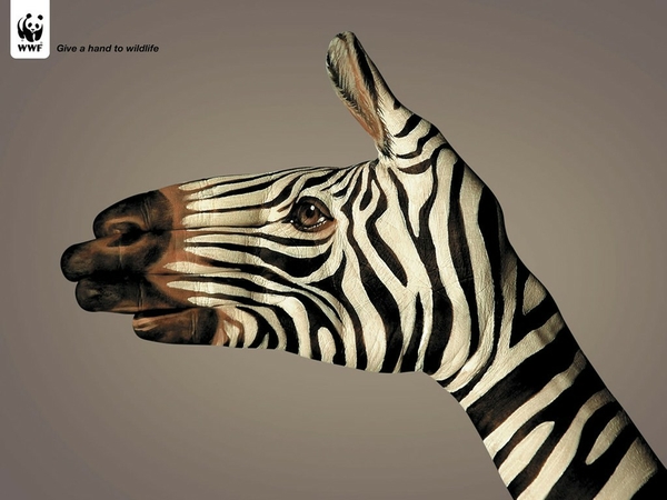 Wildlife Fund Zebras World Wallpaper