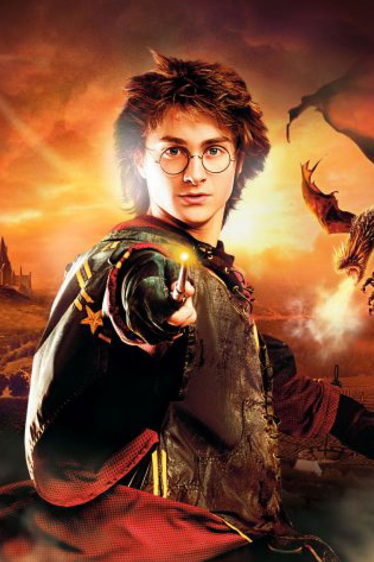 10 Best Harry Potter PC Games Harry potter pc Harry potter 736x1104
