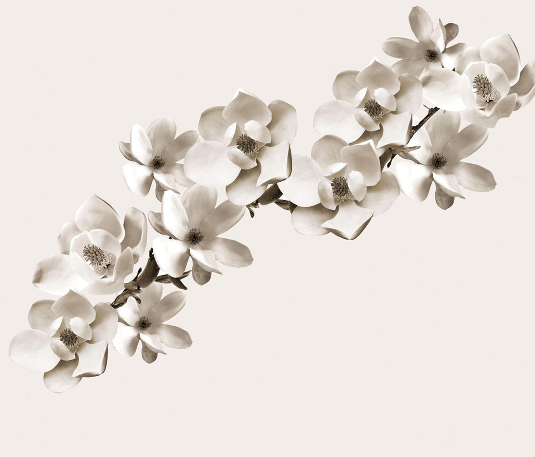 Life Aires Wdai0801 B Wallpaper