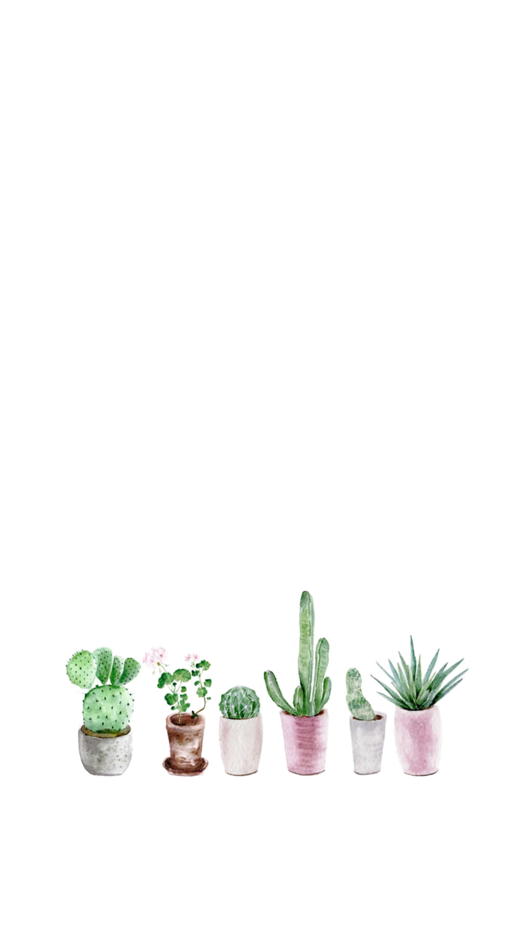 Cactus iPhone Wallpaper
