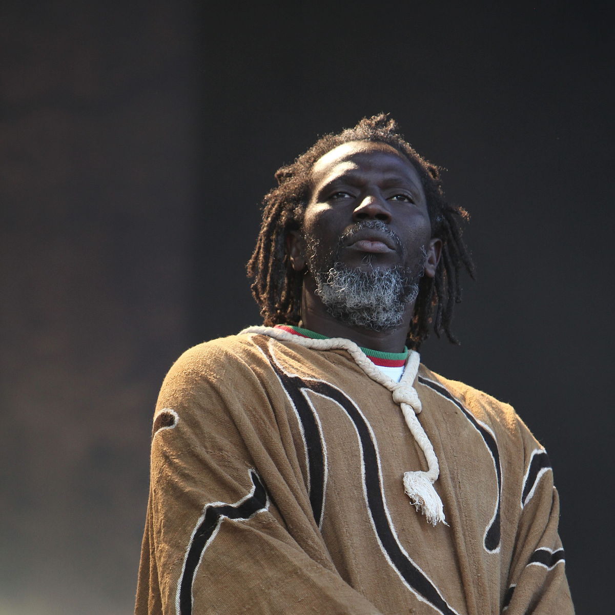 Tiken Jah Fakoly Wikipedia