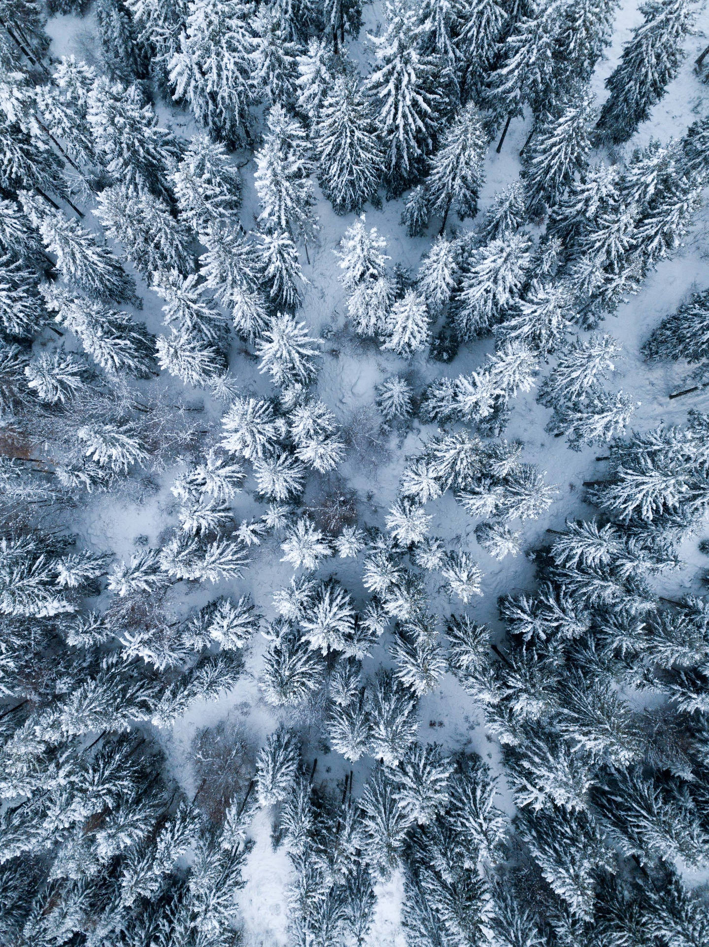 4k iPad Winter Season Wallpaper