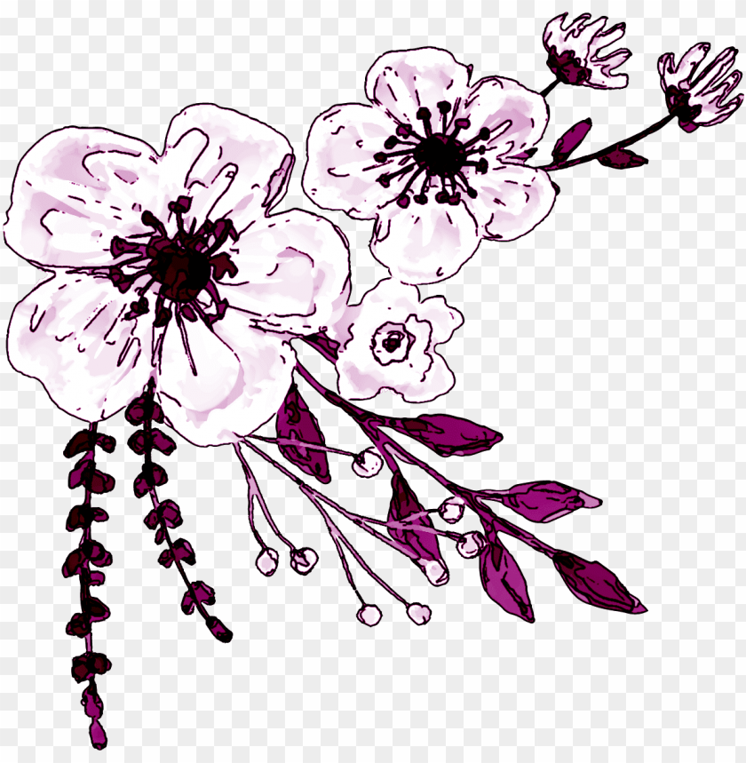 Watercolor White Flower Clipart Logo De Ministerio La Mujer