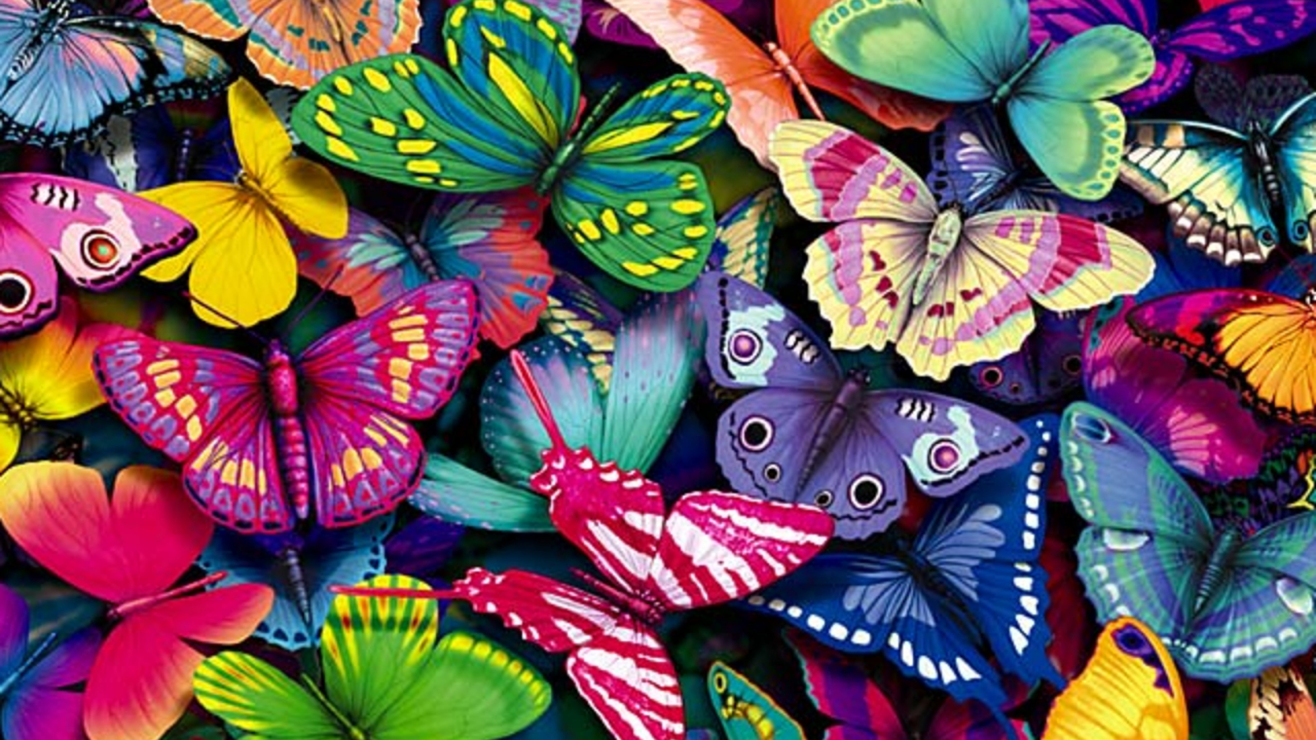 Cool Wallpaper HD With Colorful Butterfly In Cartoon