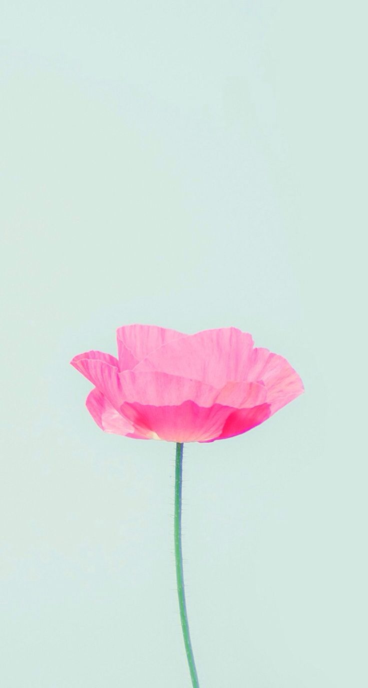 Pinterest Iphone Wallpaper - WallpaperSafari