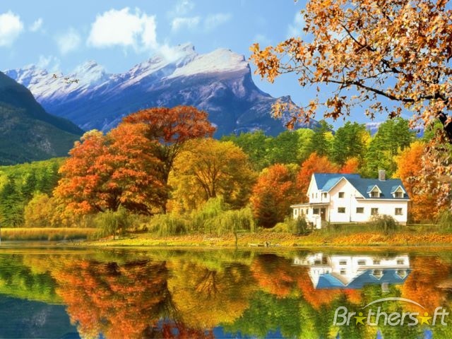 Brothersoft Gorgeous Fall Foliage 3d Screensaver Html