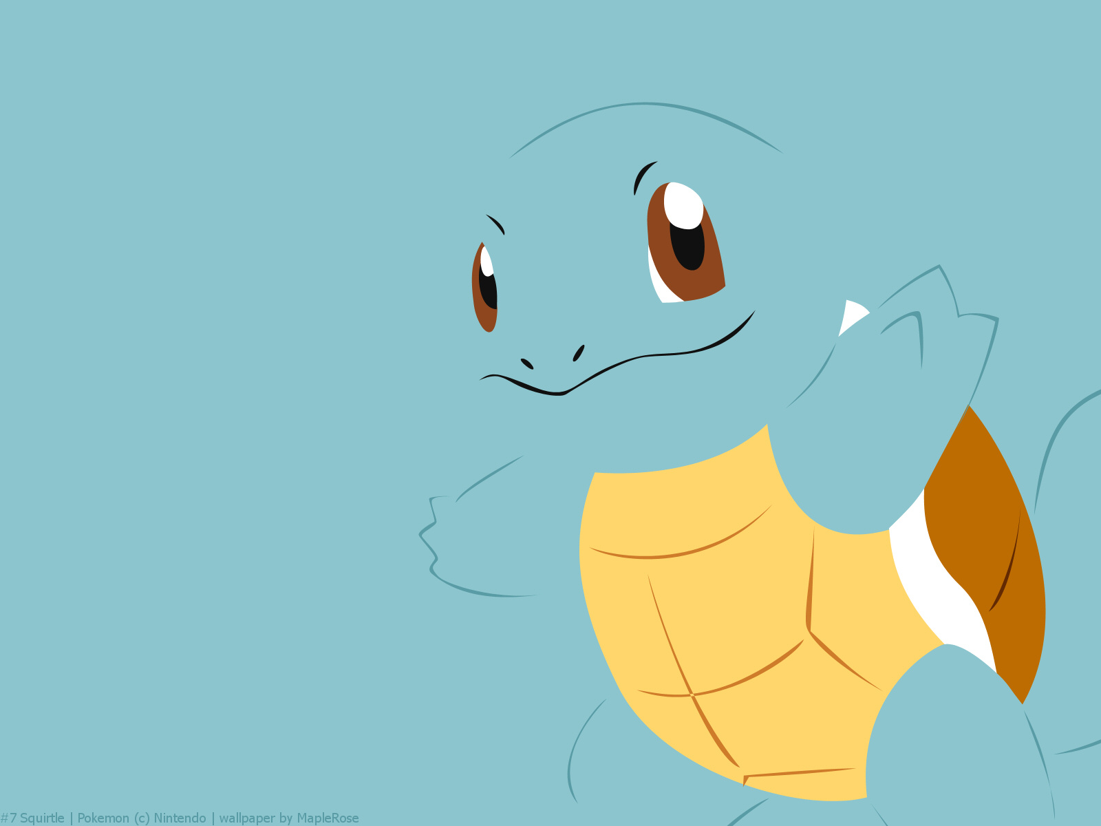 Squirtle Pok Walls