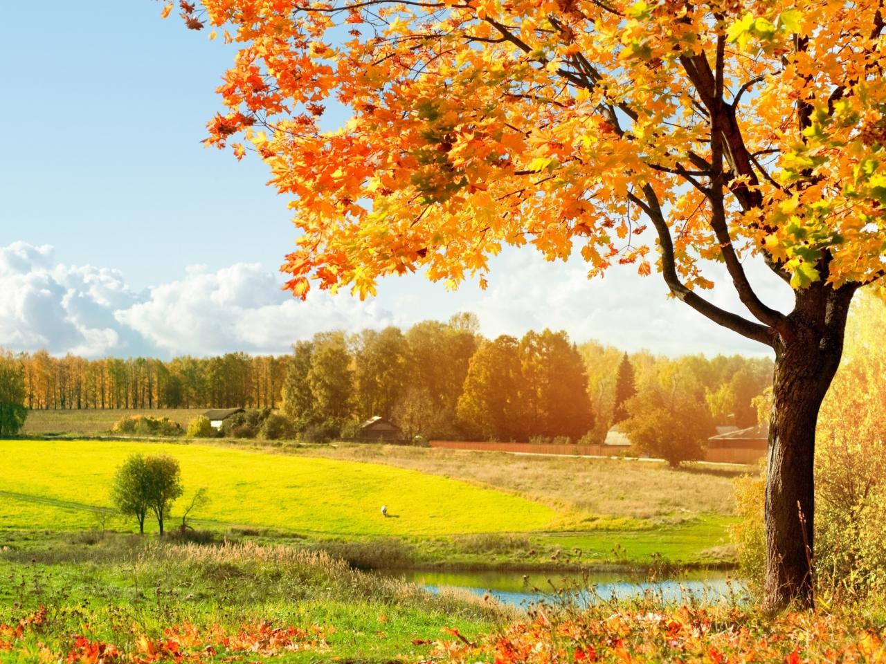 Autumn HD Wallpapers   HD Wallpapers