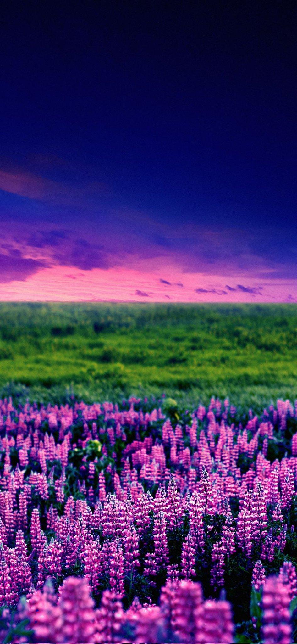 Wallpaper On X 4k For Your Smartphone Set Nature