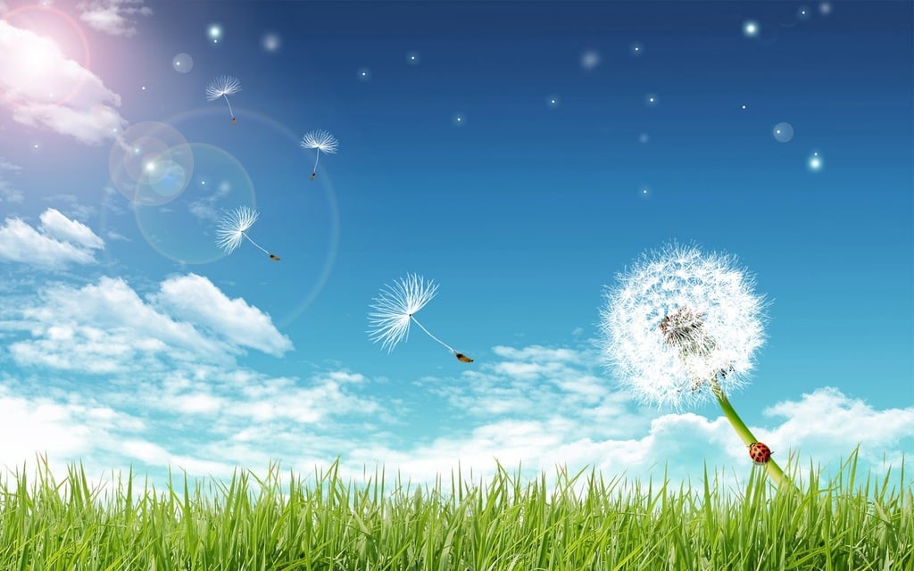 Free Grass Blue Bright Sky And A Dandelion Backgrounds For PowerPoint