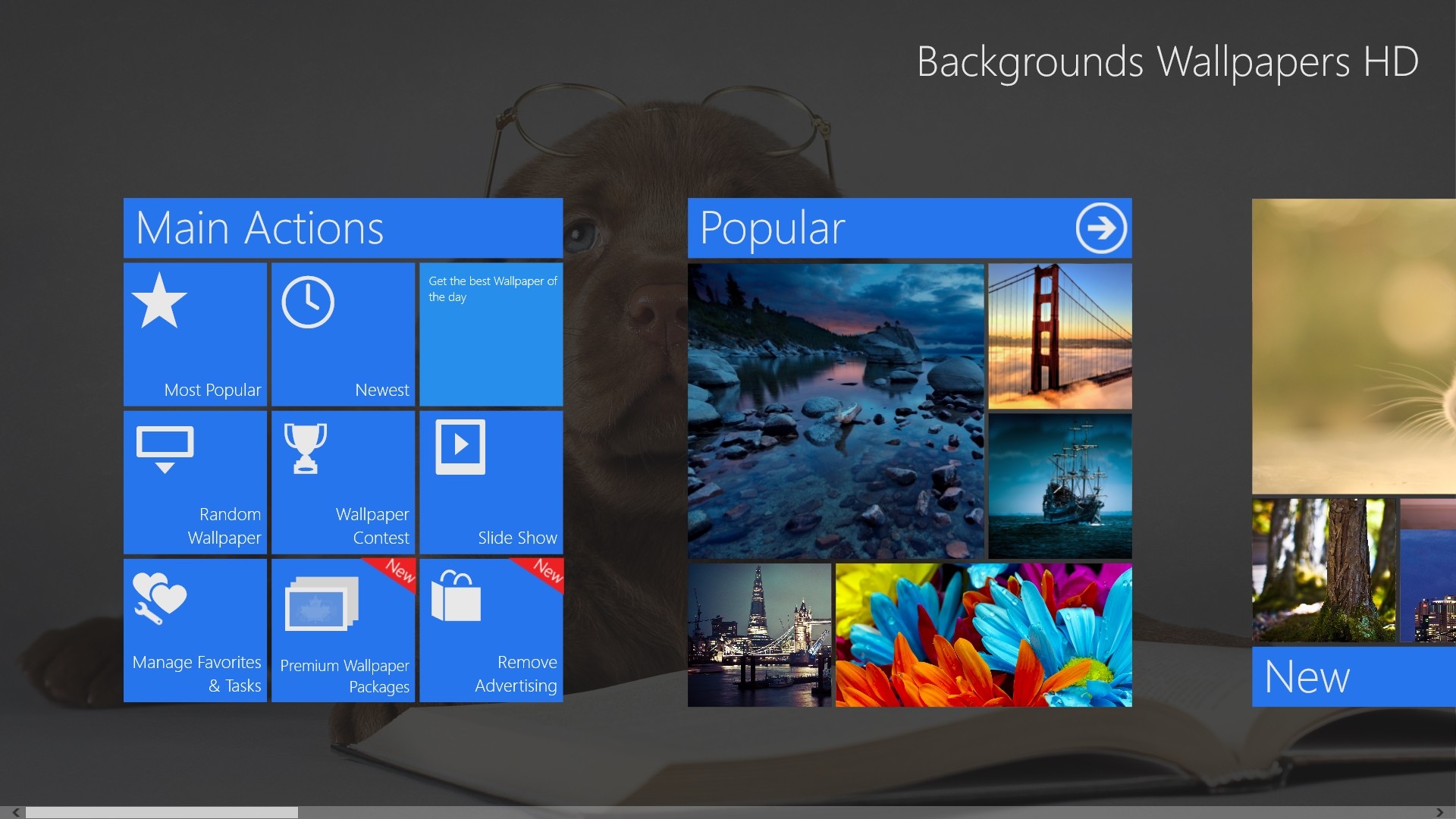 Windows App Of The Day Background Wallpaper HD Softpedia