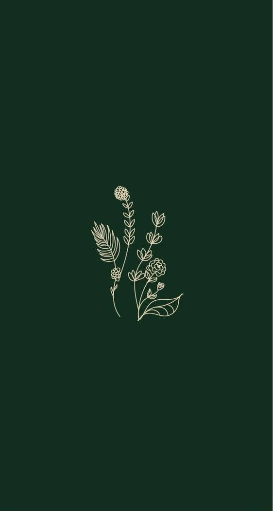 Top Plain Aesthetic Wallpaper Full HD 4k To Use