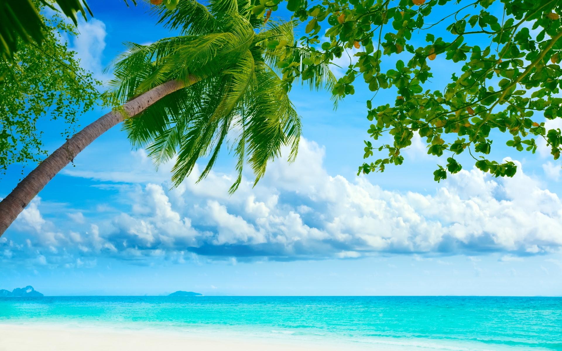 Tropical paradise beach with turquoise water, white sand, palm trees, and blue sky