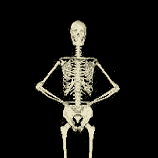 Funny Skeleton Dancing Lwp