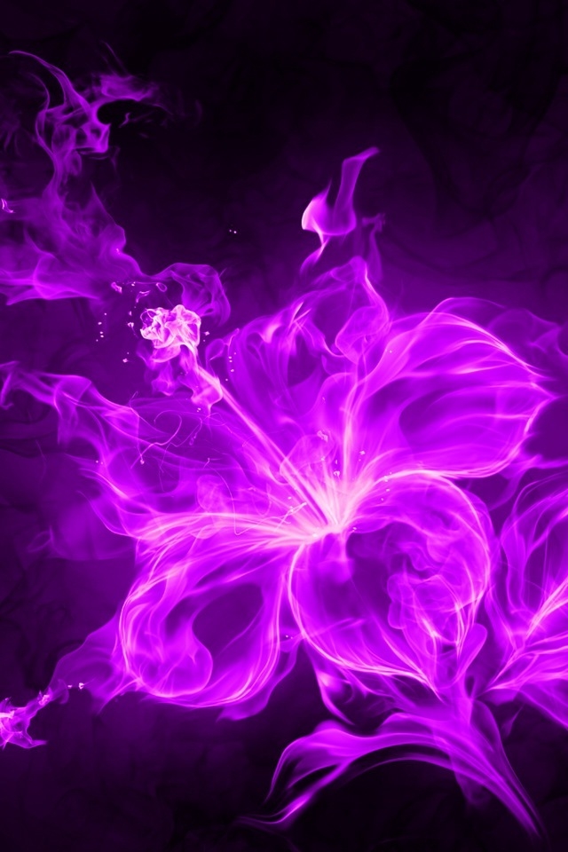 Purple Hibiscus iPhone HD Wallpaper