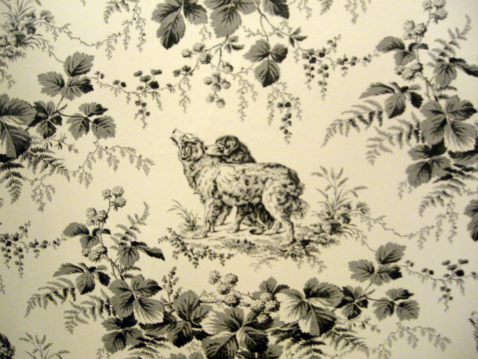 From The Profile For This Is A Wallpaper By Thibaut That I