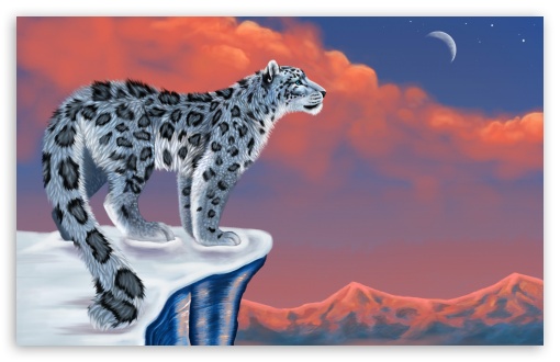 Snow Leopard Drawing HD Wallpaper For Standard Fullscreen Uxga