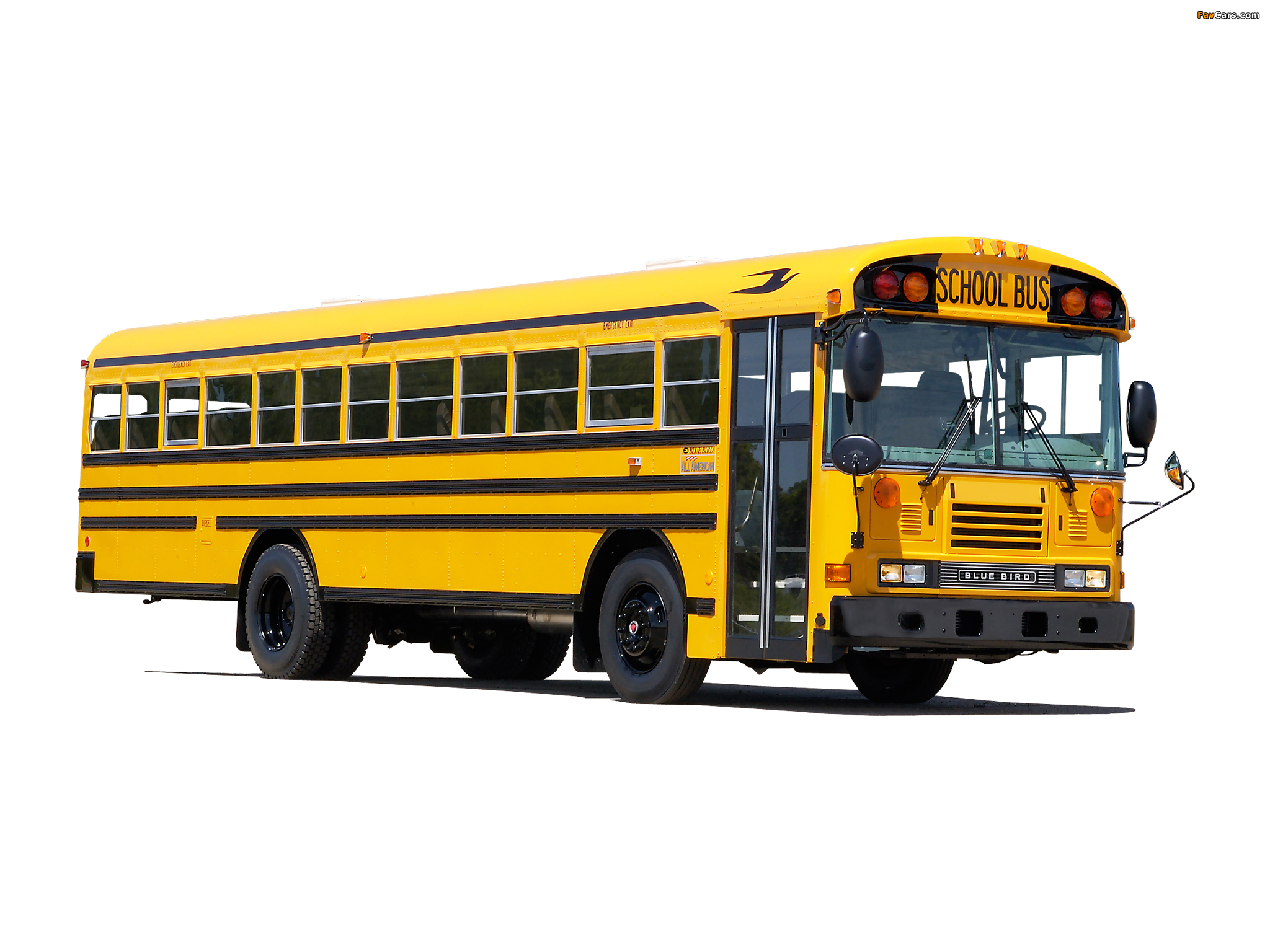 Blue Bird All American Fe School Bus Image