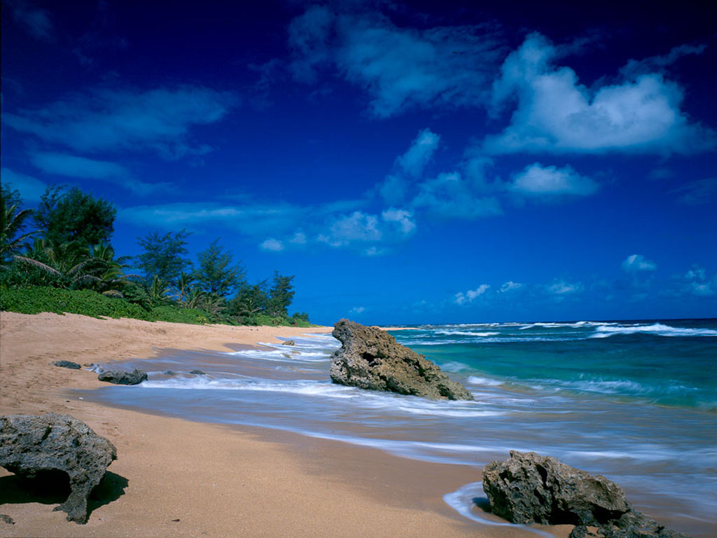 Desktop Wallpaper Tropical Beach
