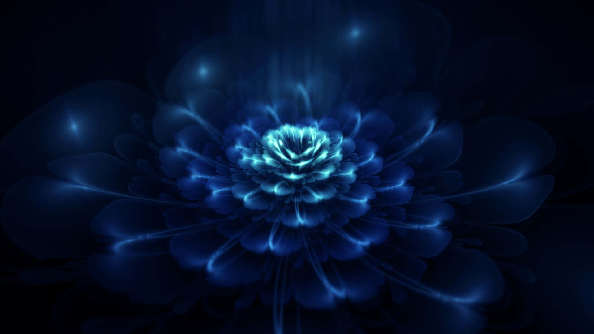 Dark Blue Rose Abstract Wallpaper