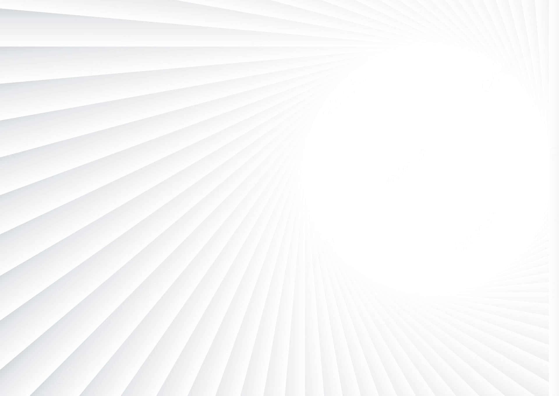 Bright White Background Wallpaper