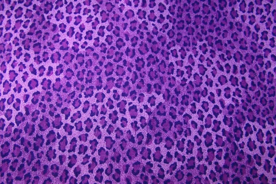 Purple Leopard Print Image Picture Graphic