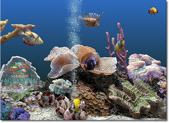 Screensaver Serenescreen Marine Aquarium