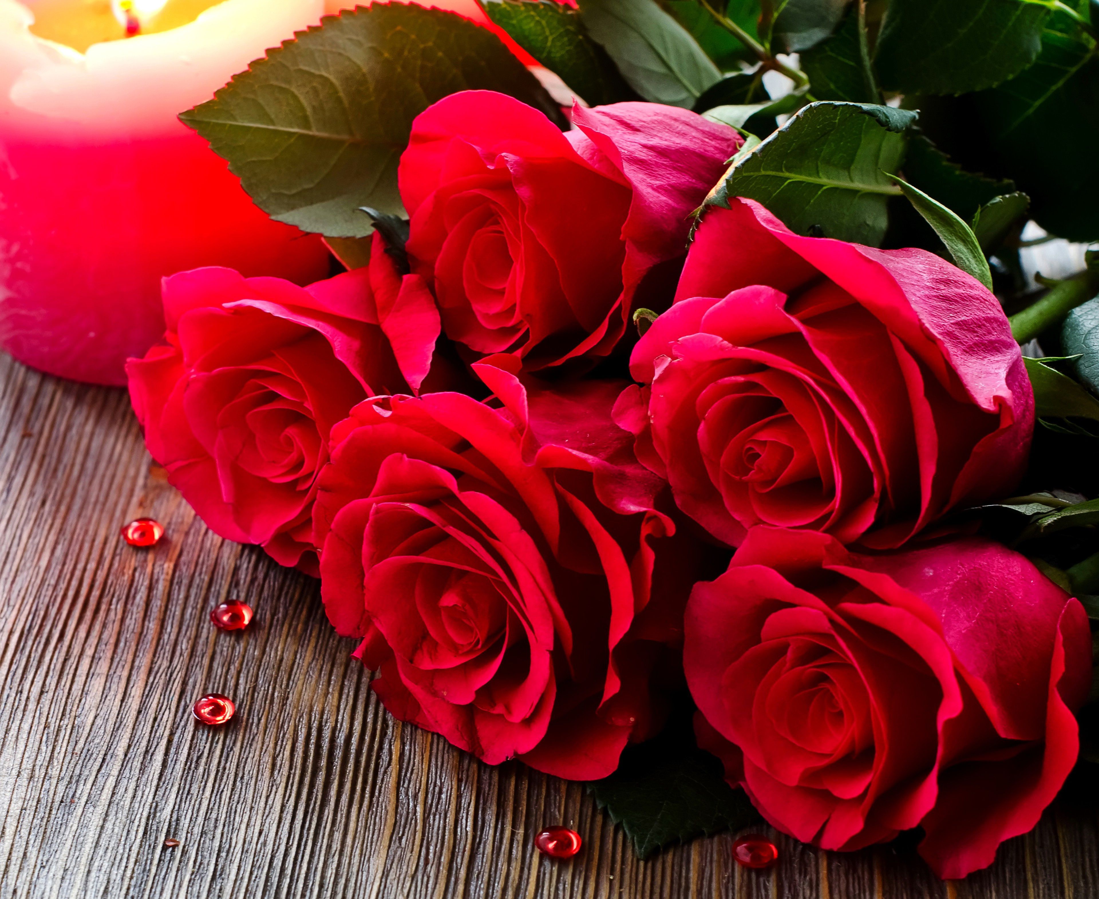 Love Rose HD Wallpaper On