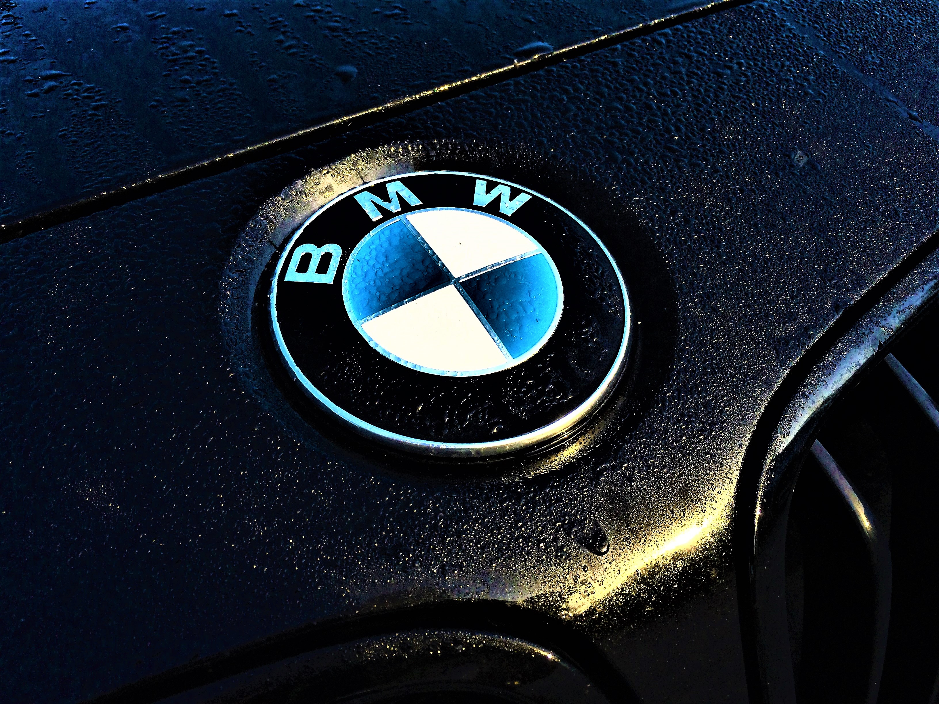 Close-up of a BMW logo on a black car hood, covered in fine water droplets